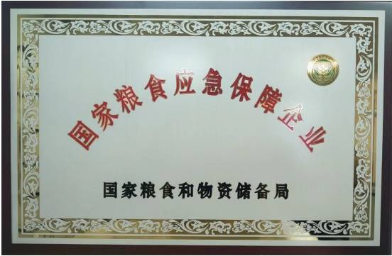 广州市粮食集团有限责任公司（岭南穗粮） 斩获多项国 家级、省级荣誉(图2)