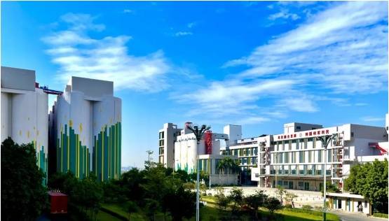 广州市粮食集团有限责任公司（岭南穗粮） 斩获多项国 家级、省级荣誉(图6)
