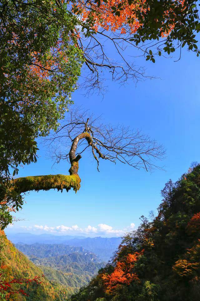 喊你来拿奖！“探秘竹溪营盘山”摄影与征文大赛开始啦(图3)