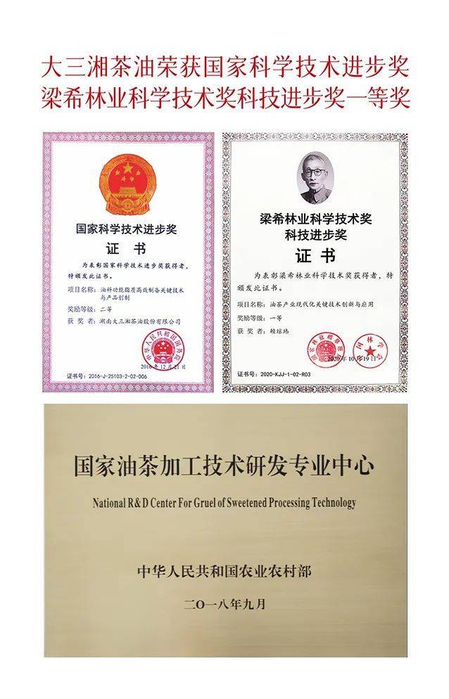 荣誉！热烈祝贺大三湘荣选为全国消费者放心满意品牌！(图6)