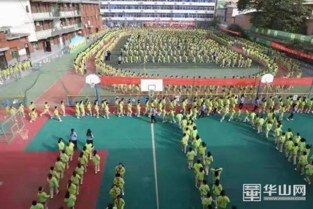 临渭区5所学校喜获得市级荣誉(图3)