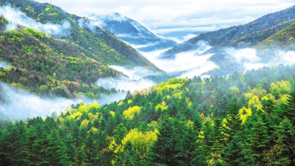 来吧！把你的好诗奉献给我们——全国林草诗歌大赛开始征稿了(图2)