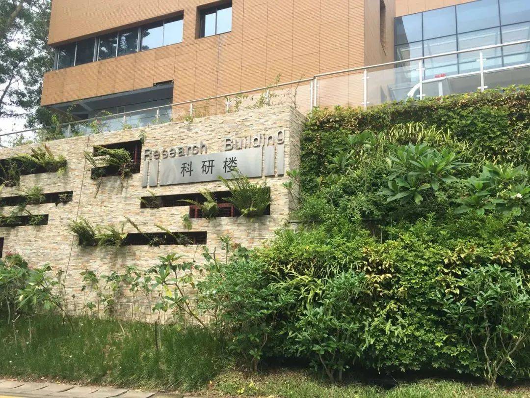 喜报！喜报！仙湖植物园斩获国家级荣誉(图1)