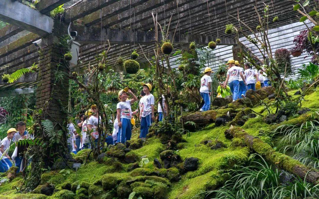 喜报！喜报！仙湖植物园斩获国家级荣誉(图5)