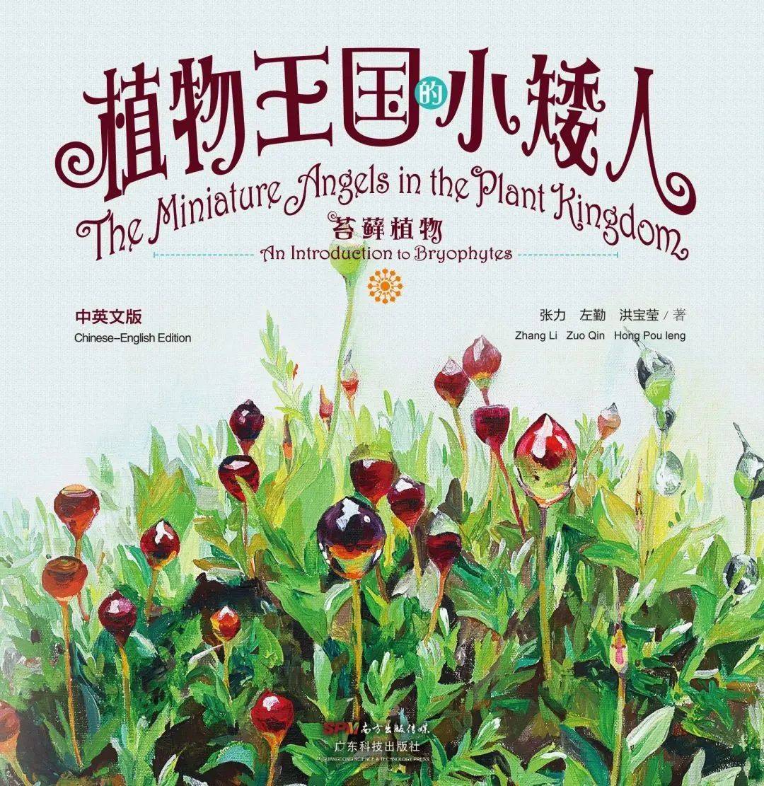 喜报！喜报！仙湖植物园斩获国家级荣誉(图6)