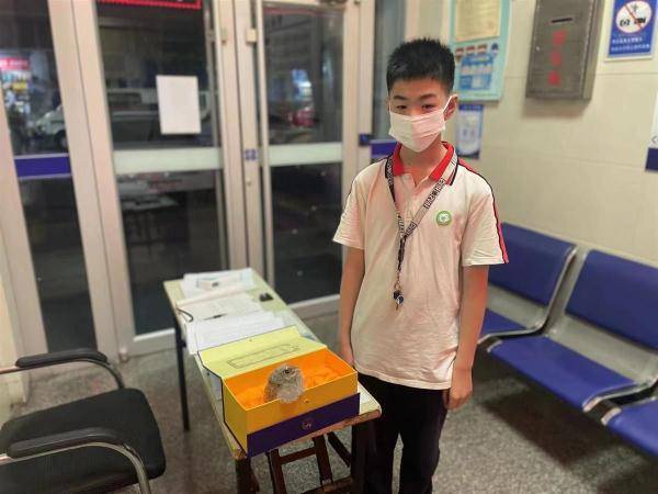 少年，你真棒！警察蜀黍为你送上凯发k8国际的荣誉证书(图1)