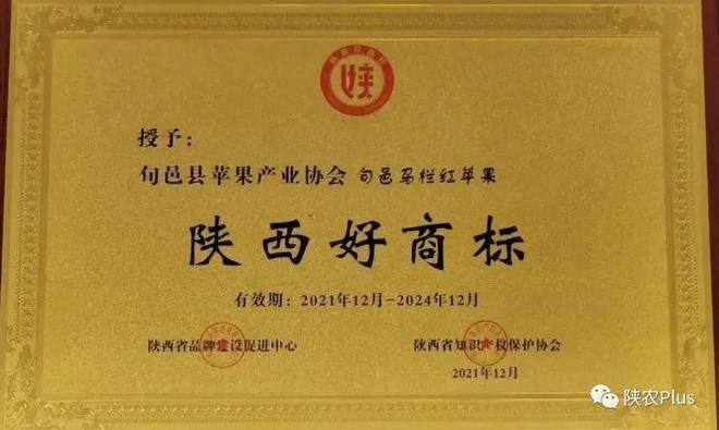 陕西农产品区域公用品牌展示‖“旬邑马栏红苹果”荣获“陕西好商标”荣誉称号(图1)