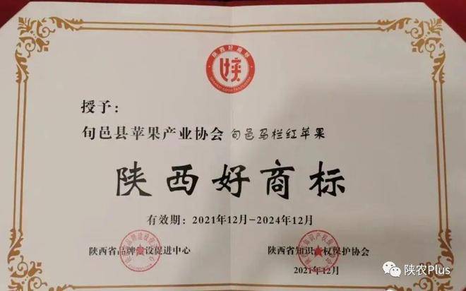 陕西农产品区域公用品牌展示‖“旬邑马栏红苹果”荣获“陕西好商标”荣誉称号(图2)