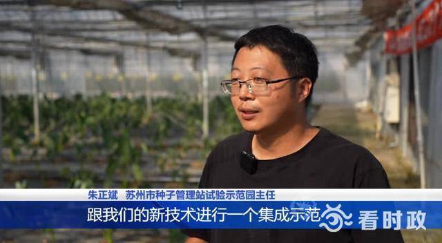 苏州4处农作物品种“试验田”获评省级称号(图4)