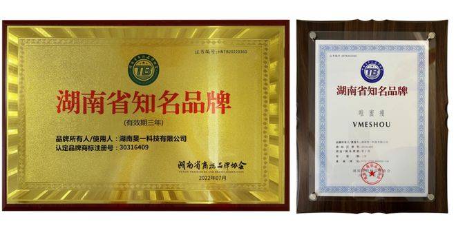 唯蜜瘦荣获2022第十六届中国品牌节年会湖南省知名品牌荣誉称号(图3)