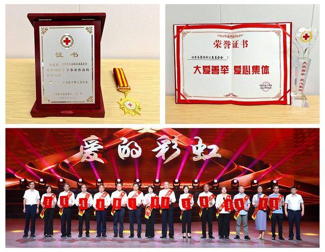 泰康溢彩公益基金会获中国红十字人道勋章等荣誉称号(图1)