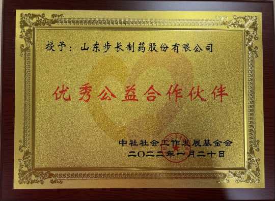 步长制药荣获“优秀公益凯发k8国际的合作伙伴”称号(图1)