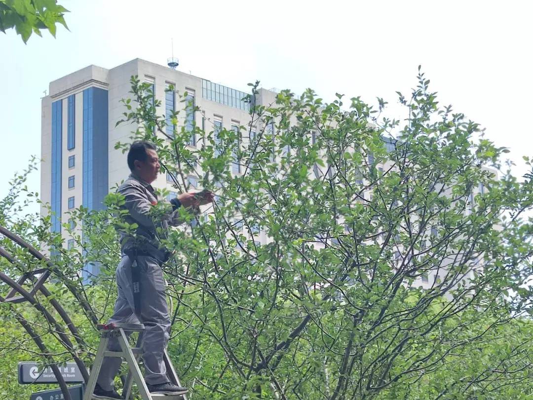 荣获市级“工匠”称号，他说:“不为繁华易匠心，不舍初心得始终！”(图1)