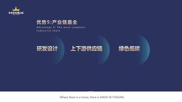 陈光标：荣获佛山市家具行业协会终生荣誉会长称号 并莅临“有家就有佛山造”指导交流(图8)