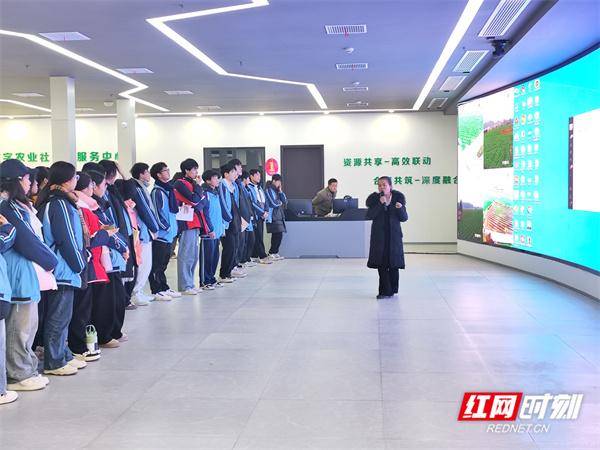 捧回“全国三八红旗手”称号的稻田追梦人——李巧华(图2)