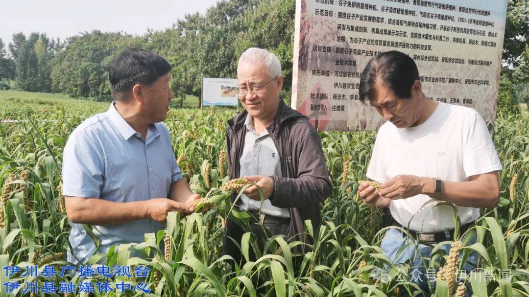喝彩！他被授予伊川“荣誉市民”(图3)