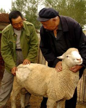 88岁的他，获得了人生最高荣誉(图5)